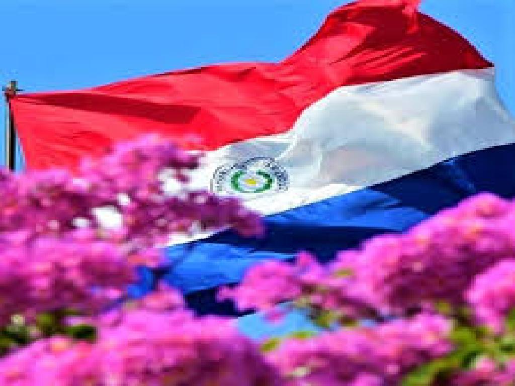 imagen-todo