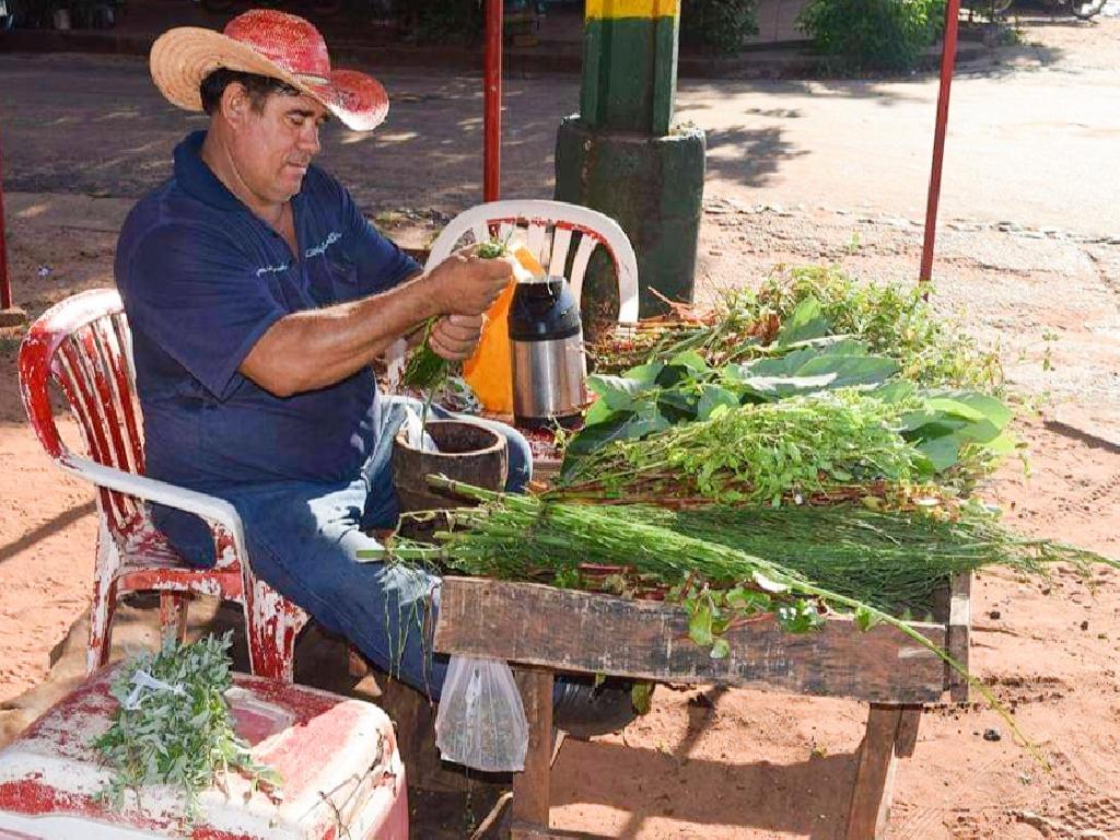 imagen-todo