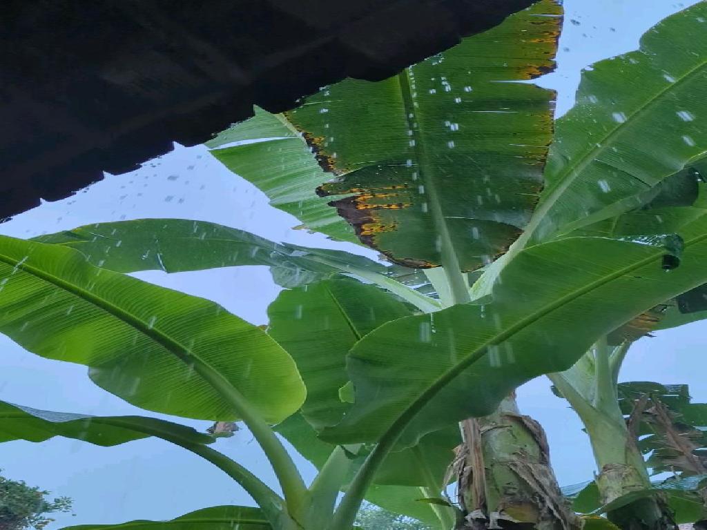 pagina-relacionado-imagen